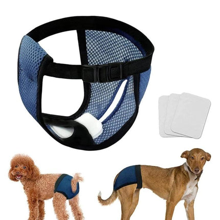 Sanitary Pants for Female Dogs in Everyday Home Care - breathable blue mesh dog diaper for house training and incontinence