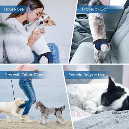 Sanitary Pants for Female Dogs in Everyday Home Care - washable dog diapers for house use, travel, play, and incontinence protection