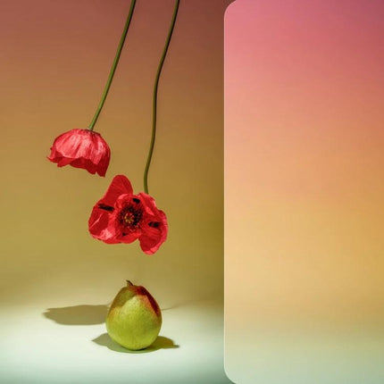 Gradient Background Paper for Portrait Photography, 106x144cm showing hanging red poppies and pear on smooth gradient canvas