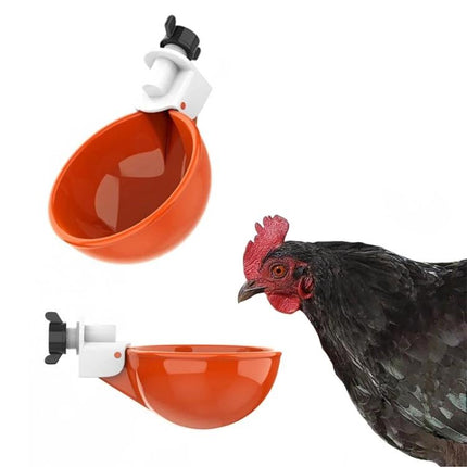 Daily Water Feeder for Backyard Poultry Care at Home - orange poultry water cup attached to bucket with chicken drinking