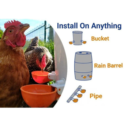 Daily Water Feeder for Backyard Poultry Care at Home - chickens drinking from attached orange water cups on bucket, rain barrel, or pipe installation