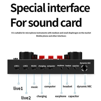 Microphone Set for Daily Home Recording and Streaming - compact sound card interface with labeled ports (live1, live2, music, computer, headset, earphone, charging)