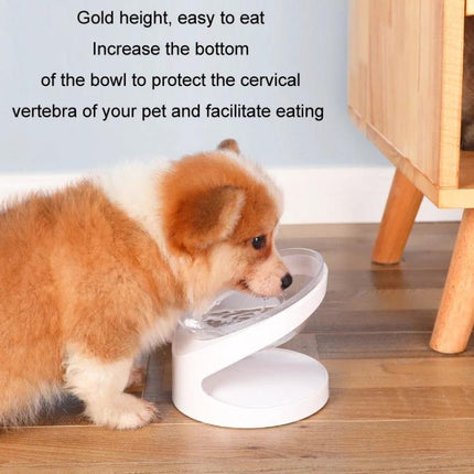 Comfortable Inclined Cat Food Bowl for Daily Home Use - small dog/cat using white inclined bowl to reduce neck strain and promote better posture