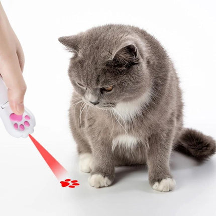Versatile Cat Projection Toy for Everyday Home Pet Fun and Care - gray cat watching red paw laser light for interactive play and exercise
