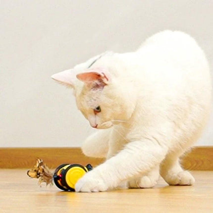 Toy for Engaging Cats with Bee Design in Home Playtime showing white cat pawing at bee-shaped interactive toy on living room floor