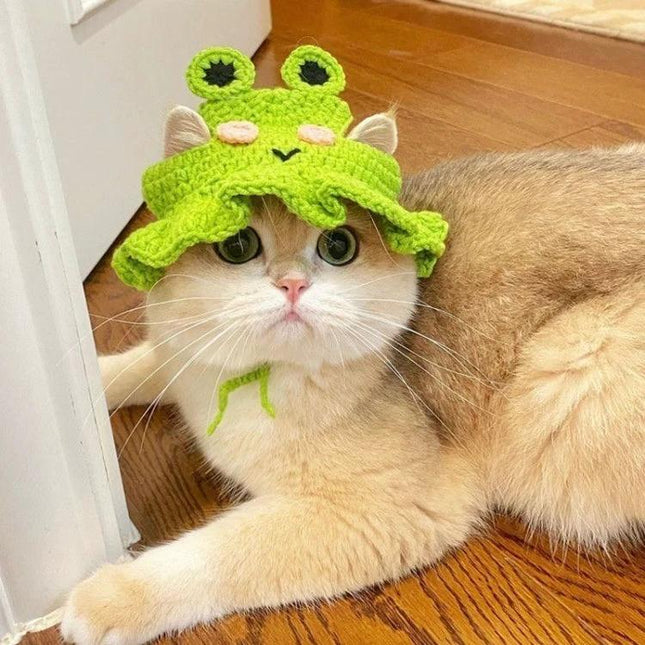Comfortable Knitted Hats for Cats and Dogs in Daily Playtime - cream cat wearing a lightweight green crochet frog hat for playtime comfort