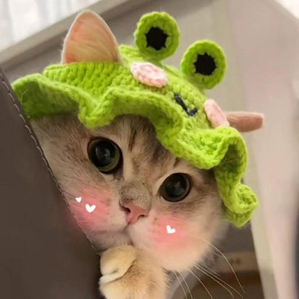 Comfortable Knitted Hats for Cats and Dogs in Daily Playtime — cute cat wearing lightweight green crochet knitted hat for playtime