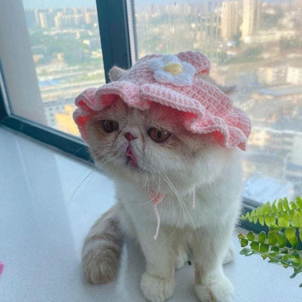 Comfortable Knitted Hats for Cats and Dogs in Daily Playtime - cream cat wearing pink crocheted flower hat by window