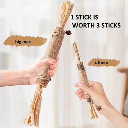 Silvervine Cat Toy for Everyday Kitten Play and Dental Care - large natural chew stick shown vs smaller toy, highlights durability and dental benefits