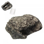 Stone