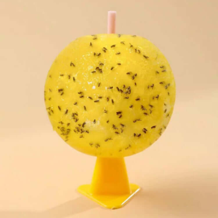 Sticky Fruit Fly Trap Ball with Attractant - 8cm Indoor Insect Catcher