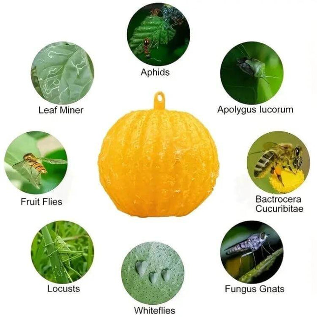 Outdoor Fruit Fly Mosquito Citrus Trap Sticky Ball Yellow hanging sticky citrus ball catching fruit flies aphids whiteflies and gnats on plants