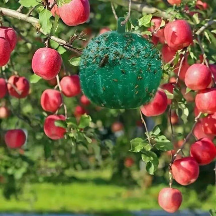 Outdoor Citrus Fruit Fly Mosquito Trap Sticky Ball Green hanging in apple tree capturing flies with adhesive, chemical-free outdoor pest control