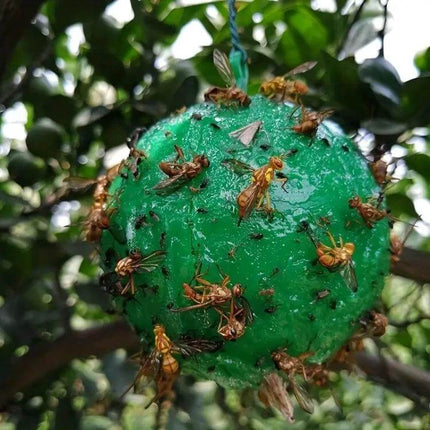 Outdoor Citrus Fruit Fly Mosquito Trap Sticky Ball Green hanging in garden covered with trapped flies