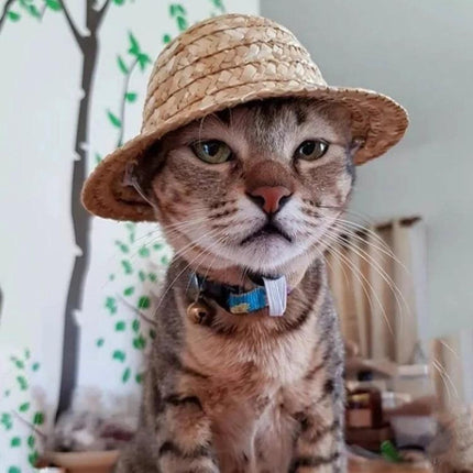 Straw Hat for Dogs and Cats on Outdoor Adventures and Parties - tabby cat wearing breathable straw hat with adjustable elastic strap
