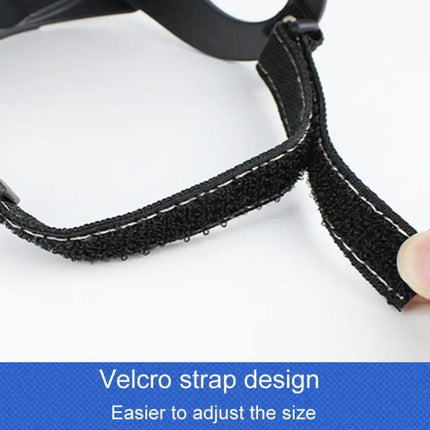 Comfortable Helmet for Small Dogs During Daily Walks