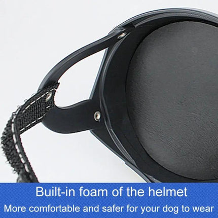 Comfortable Helmet for Small Dogs During Daily Walks