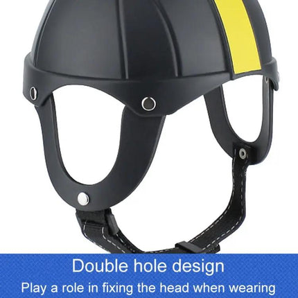 Comfortable Helmet for Small Dogs During Daily Walks