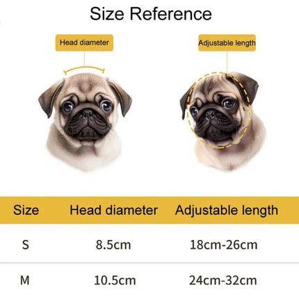 Comfortable Helmet for Small Dogs During Daily Walks