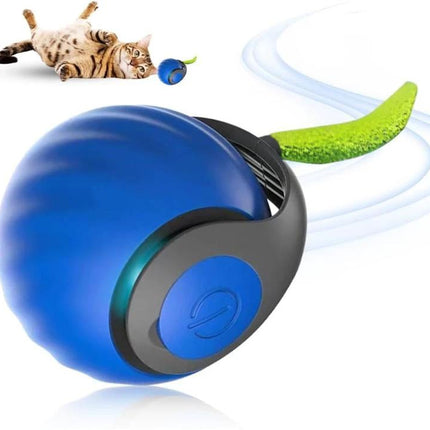 TUTU Rolling Ball for Cats' Everyday Home Entertainment interactive blue cat toy for indoor play and exercise