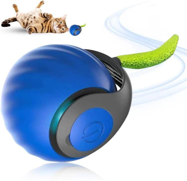 TUTU Rolling Ball for Cats' Everyday Home Entertainment interactive blue cat toy for indoor play and exercise