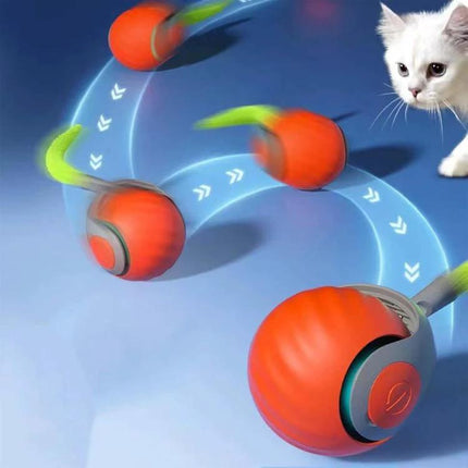 TUTU Rolling Ball for Cats' Everyday Home Entertainment - orange interactive rolling ball with motion trails and curious white kitten