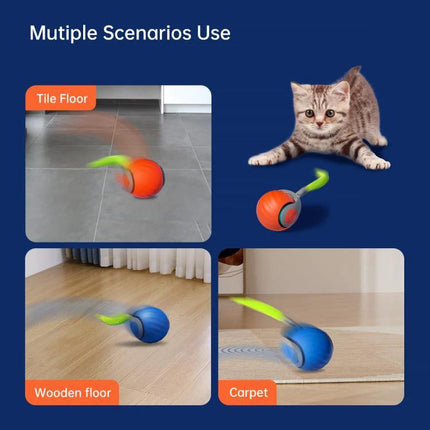 TUTU Rolling Ball for Cats' Everyday Home Entertainment showing ball on tile, wooden floor and carpet to engage indoor cats