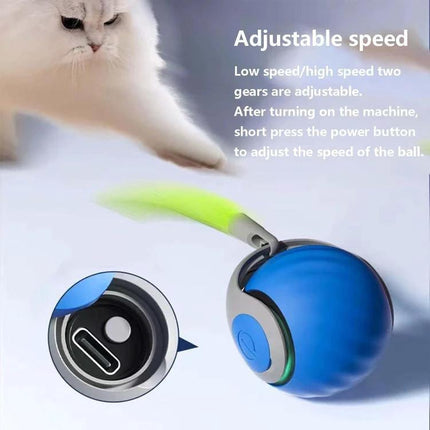 TUTU Rolling Ball for Cats' Everyday Home Entertainment showing blue interactive ball with adjustable speed and cat paw reaching