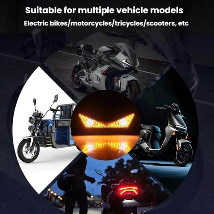 Motorcycle License Plate Light LED Screw Mount Triangle or Semicircular compact 12V LED plate light for motorcycles scooters tricycles