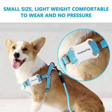GPS Tracker for Cats and Dogs with Real-Time Location Updates strapped to a happy corgi harness showing FindmyTag device