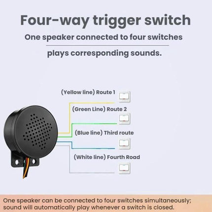 Vehicle Safety Voice Alert System with Door and Start Reminders four-way trigger switch speaker showing color-coded routes and wiring for door/start reminders
