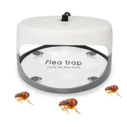 Flea Trap Lamp For Home Use, Pet Care, Indoor Flea Control