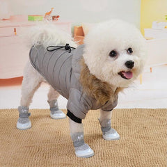 Winter Warmth: Stylish Dog Jacket for Small Breeds, Including Chihuahuas