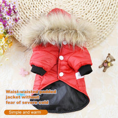 Winter Warmth: Stylish Dog Jacket for Small Breeds, Including Chihuahuas