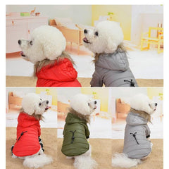 Winter Warmth: Stylish Dog Jacket for Small Breeds, Including Chihuahuas