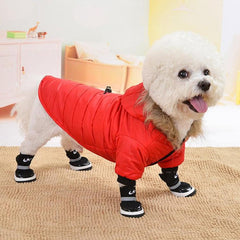 Winter Warmth: Stylish Dog Jacket for Small Breeds, Including Chihuahuas