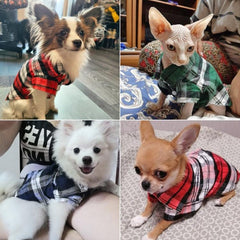 Trendy Summer Plaid Shirts for Small Dogs and Cats - Lightweight Cotton Fashion Wear