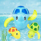 Educational Turtle (Light Blue) / Light Blue