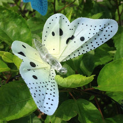 Guirnalda de luces de fibra óptica con forma de mariposa alimentada por energía solar, resistente al agua, para Navidad, jardín y fiestas al aire libre