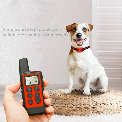 Dog Training Collar for Everyday Walks and Home Obedience - small dog wearing remote-controlled collar with sound, vibration, and pulse functions
