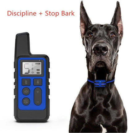 Dog Training Collar for Everyday Walks and Home Obedience - remote with sound, vibration, pulse and large breed wearing blue collar