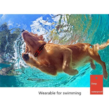 Dog Training Collar for Everyday Walks and Home Obedience - waterproof wearable collar shown on dog swimming with remote control functions