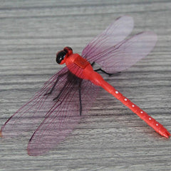 Charming 4-Piece Dragonfly Magnetic Decor Set for Home and Garden