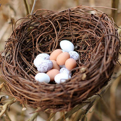 Nido de ratán para pájaros, artesanías para pájaros, nido de pollo, accesorios para escenas de nido de pájaro hechos a mano