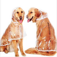 Stylish Clear Raincoat for Dogs - Waterproof Pet Apparel