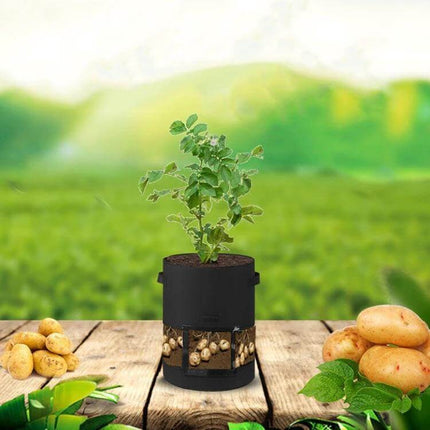 Alt Tag: Transparent Potato Growing Bag 30x35cm for Home Garden clear-view non-woven fabric container showing tubers and root growth