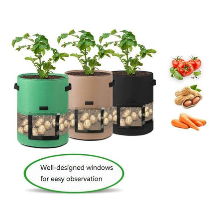 Transparent Potato Growing Bag 30x35cm for Home Garden showing three clear-window non-woven containers with potato plants and visible tubers