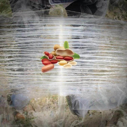 Transparent Rodent Sticky Board 120 Cm By 28 Cm For Home Use clear adhesive trap on wall near baseboard with scattered nuts bait