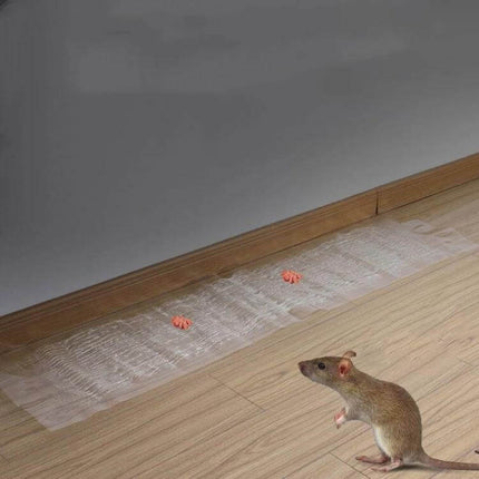 Transparent Rodent Sticky Board 120 Cm By 28 Cm For Home Use placed along baseboard to discreetly trap and monitor rodents in living spaces