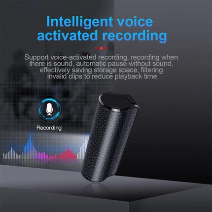 A Compact Voice Recorder for Everyday Meetings and Notes - compact voice-activated recorder for meetings, lectures and quick notes with intelligent VAD